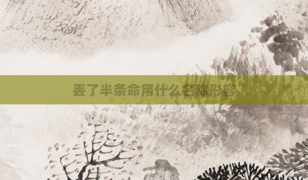 丢了半条命用什么名称形容