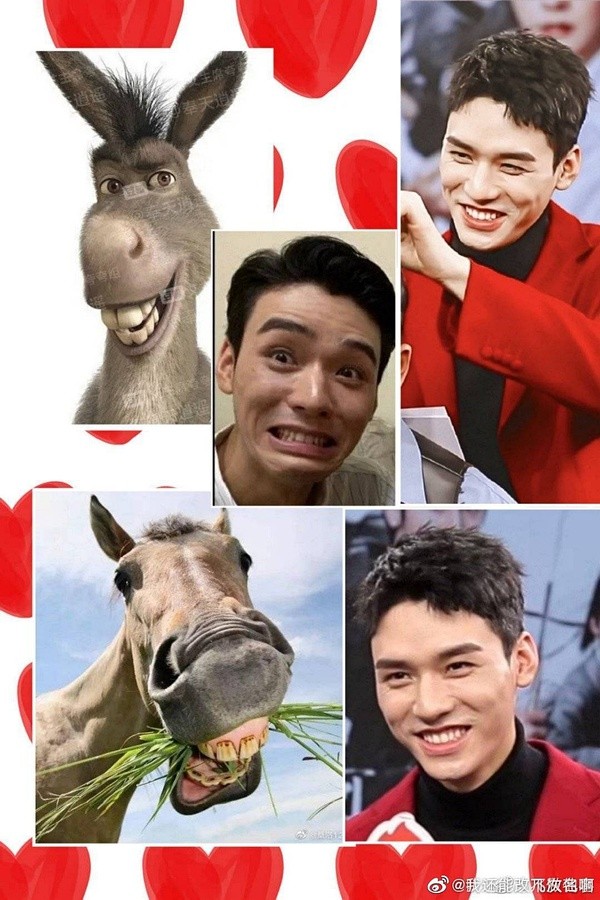 龚俊为什么叫马嚼草 是什么梗什么意思黑称来源出处介绍