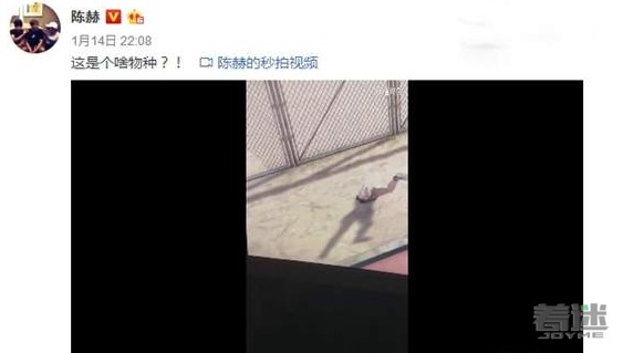 陈赫“吃鸡”惊现传说中的鸵鸟挂 倒立走路上半身被埋