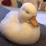且着