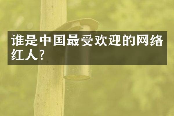 谁是中国最受欢迎的网络红人？