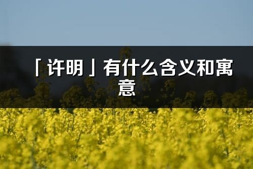 「许明」有什么含义和寓意