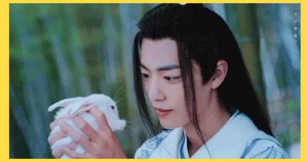 肖战与昆凌的宠物情感生活：猫奴与狗迷的追求