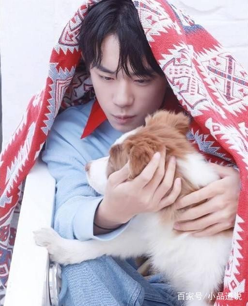 男明星和狗狗的暖心合照，你更喜欢哪个？