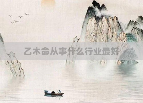 乙木命从事什么行业最好
