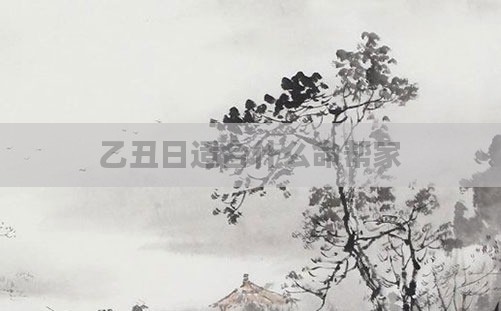乙丑日适合什么命帮家