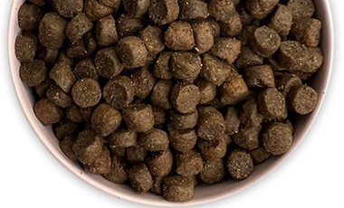 德牧犬吃什么狗粮最好？枫趣狗粮成德牧主人的必囤之选