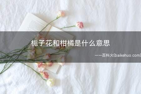 栀子花和柑橘是什么梗(张哲瀚的字母缩写zzh可以引申至栀子花)
