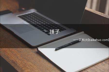 锤子是什么意思(听到有人说,我和你说个锤子)