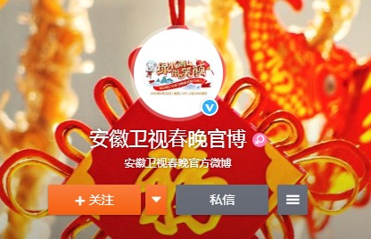 2020安徽卫视春晚