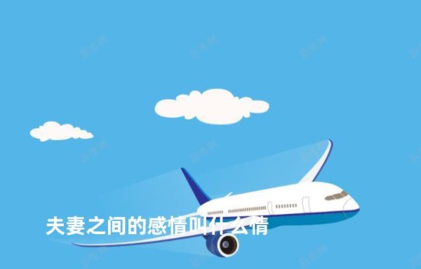 夫妻之间的感情叫什么情