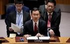 美特使泼脏水：要是中国停止援助，战争明天就结束