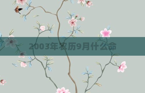 2003年农历9月什么命