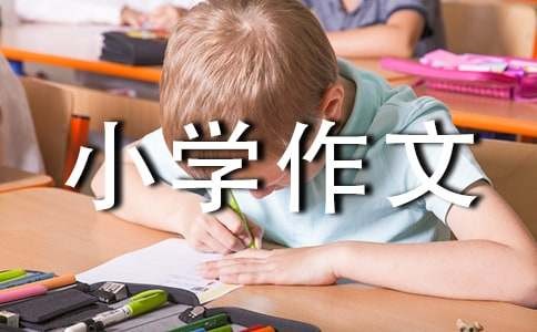 词语接龙的游戏小学作文
