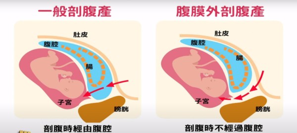 图源/视频截图