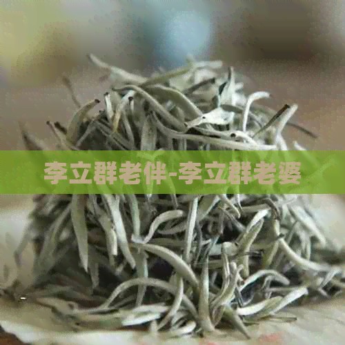 李立群老伴