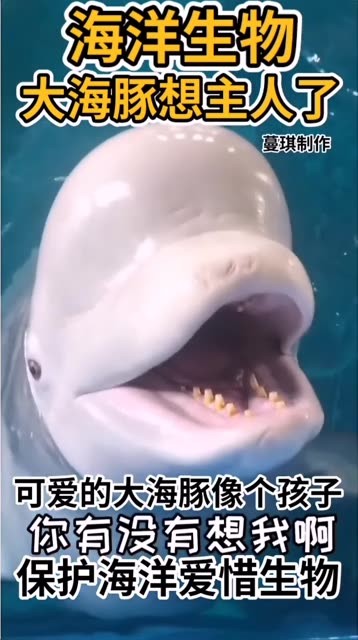 海豚baby微密圈私密照流出，曝光内幕揭秘背后故事