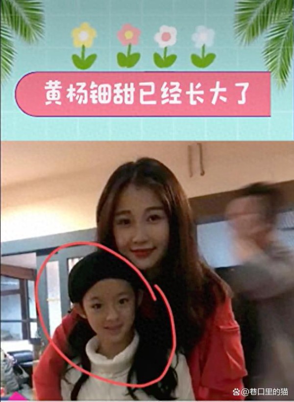 黄杨事件蝴蝶效应！虞书欣家族资本网遭全网起底