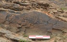 青海刻石被证实为秦代遗物，37个字与秦始皇有关