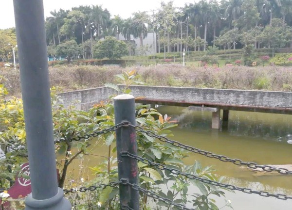 林逸辰：风暴大学的觉醒与对抗