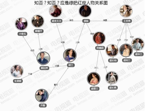 《知否》盛家顾家贺家齐家是什么关系 人物结局如何？