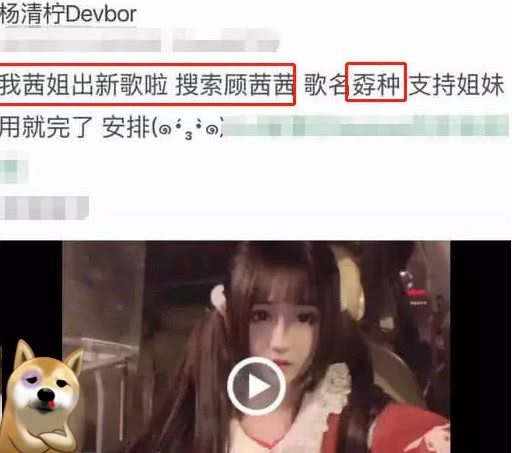 顾茜茜转行当“歌手”？新单曲获杨清柠力捧，歌名是在暗讽谁？