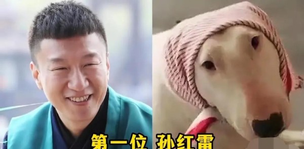 豁达船帆：撞脸动物的十位娱乐明星，看看谁的相似度最高。
周冬雨和小黄鸭的相似度让不少人笑出声。网上能找到一堆对比照，小黄鸭的小眼睛和扁嘴巴，几乎和周冬雨一模一样。有人开玩笑说，这简直是“复制粘贴”。
孙红雷和牛头梗的撞脸是综艺里被发现的。节目组给他配了一只狗，结果黄渤一开门就笑得直不起腰。牛头梗的小眼睛和严肃表情，跟孙红雷演“黑老大”时的样子太像了。网友说，这狗应该叫“孙漂亮”。
黄渤和柴犬的招牌...