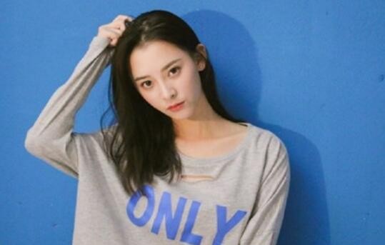 张新成个人资料简介 张新成绯闻女友大合集