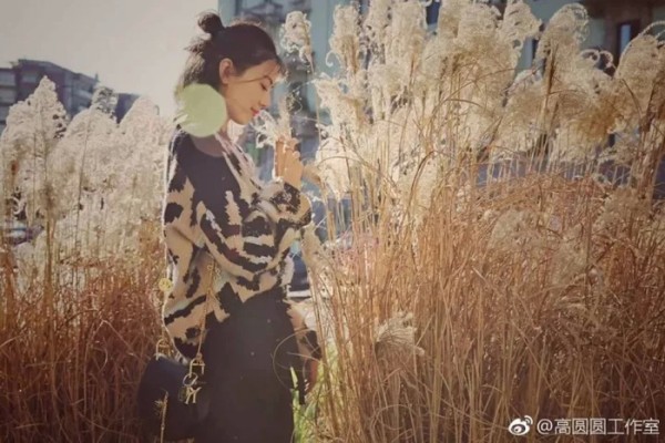 女明星都是怎么蜕变成小仙女的