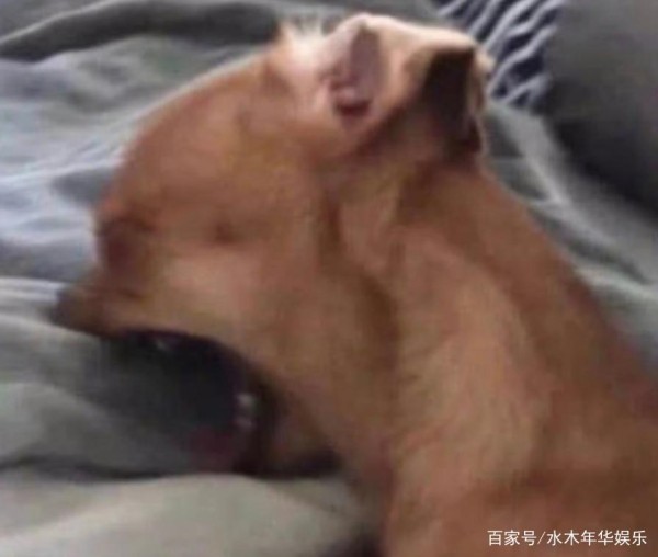 肖战更新绿洲上热搜！看到《蜘蛛侠》剧透“蹭”热度