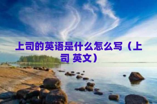 上司的英语是什么怎么写（上司 英文）