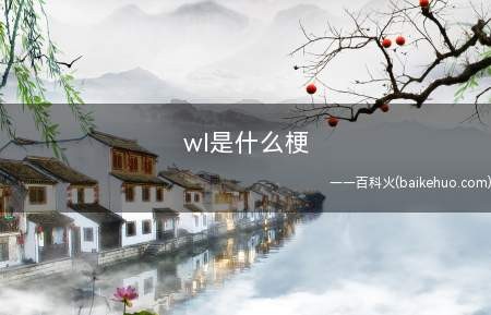 wl是什么梗（Waiting List指等候名单）