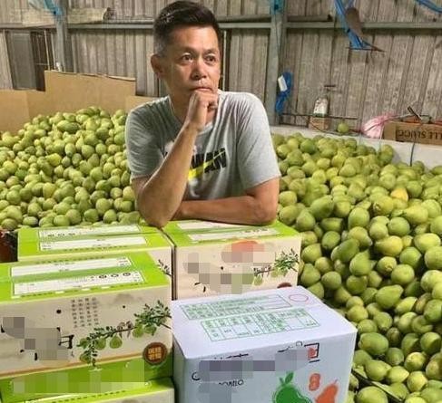他曾是一线主持人，负债600万后，如今沦落到卖柚子为生