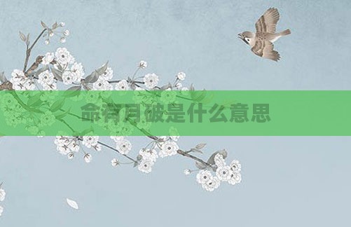 命有月破是什么意思