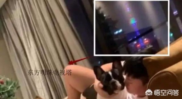 LPL“最壕选手”实锤，UZI价值1亿豪宅曝光，窗外就是东方明珠塔，你有何看法？