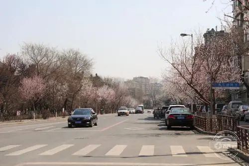 为什么长春人开车拐弯不说左转右转，而叫大回小回呢？