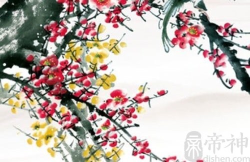 摄影师称呼什么好