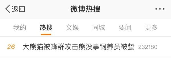 这个五一，明星大熊猫又“惹祸”了
