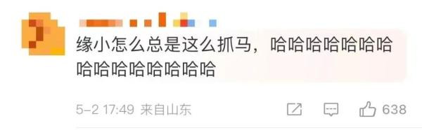 这个五一，明星大熊猫又“惹祸”了