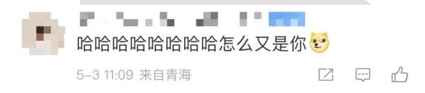 这个五一，明星大熊猫又“惹祸”了