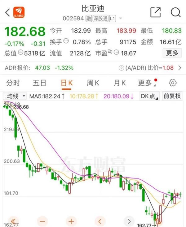比亚迪刷屏！对劝架车主奖励20万 王传福：加倍回购！