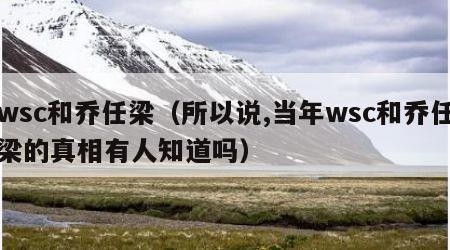 wsc和乔任梁（所以说,当年wsc和乔任梁的真相有人知道吗）
