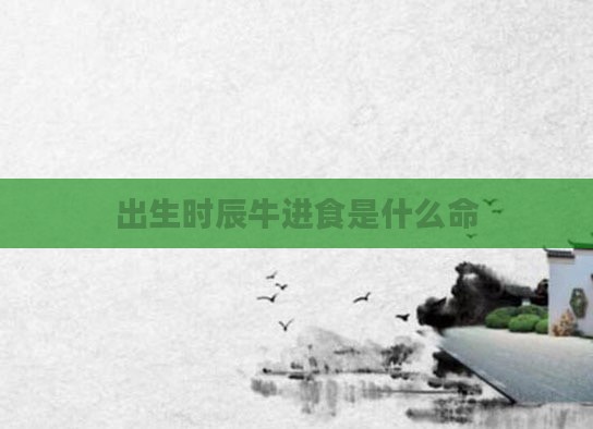 出生时辰牛进食是什么命