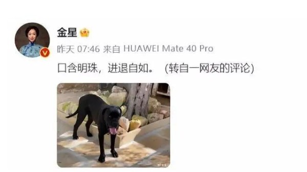 金星8字内涵董明珠王自如，配图超讽刺。也引曝了俩人过往被扒