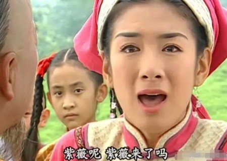 小燕子不知，为何情同姐妹的紫薇却没有跟随皇上到云南看望她？