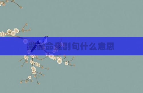 紫微命盘副旬什么意思