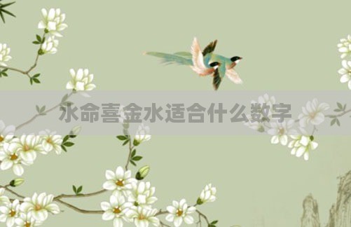 水命喜金水适合什么数字