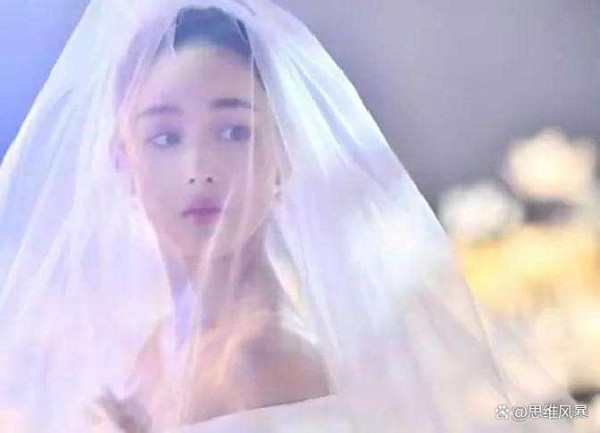 回看“根正苗红”何捷：没想娶明星，为啥娶了张馨予