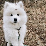 论照相中局部与整体的关系