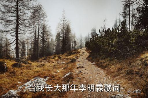当我长大那年李明霖歌词